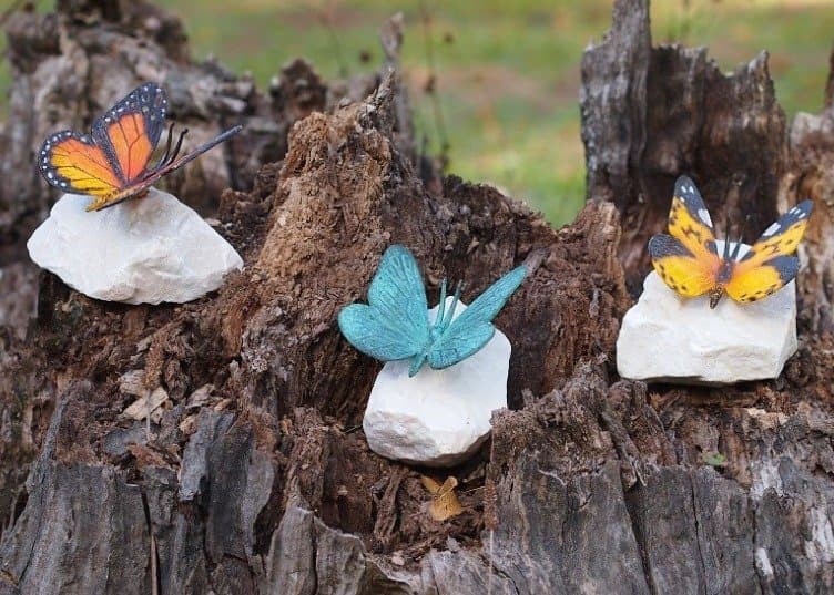 Coloured Butterfly On Rock thumbnail 2