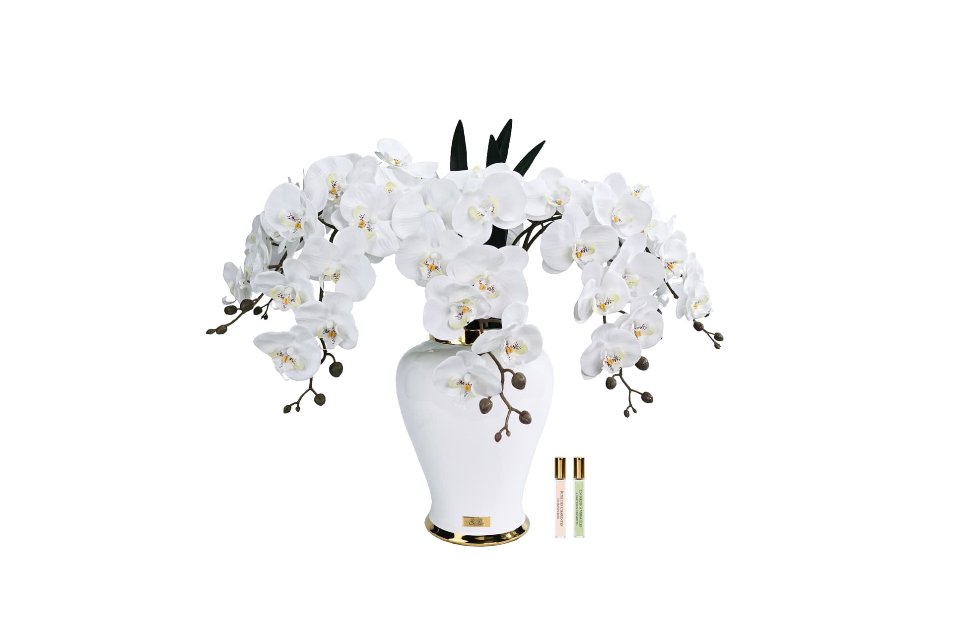 Imperial Orchid — White with Gold Badge — Cote Noire luxury furniture at Gloria, Iraq