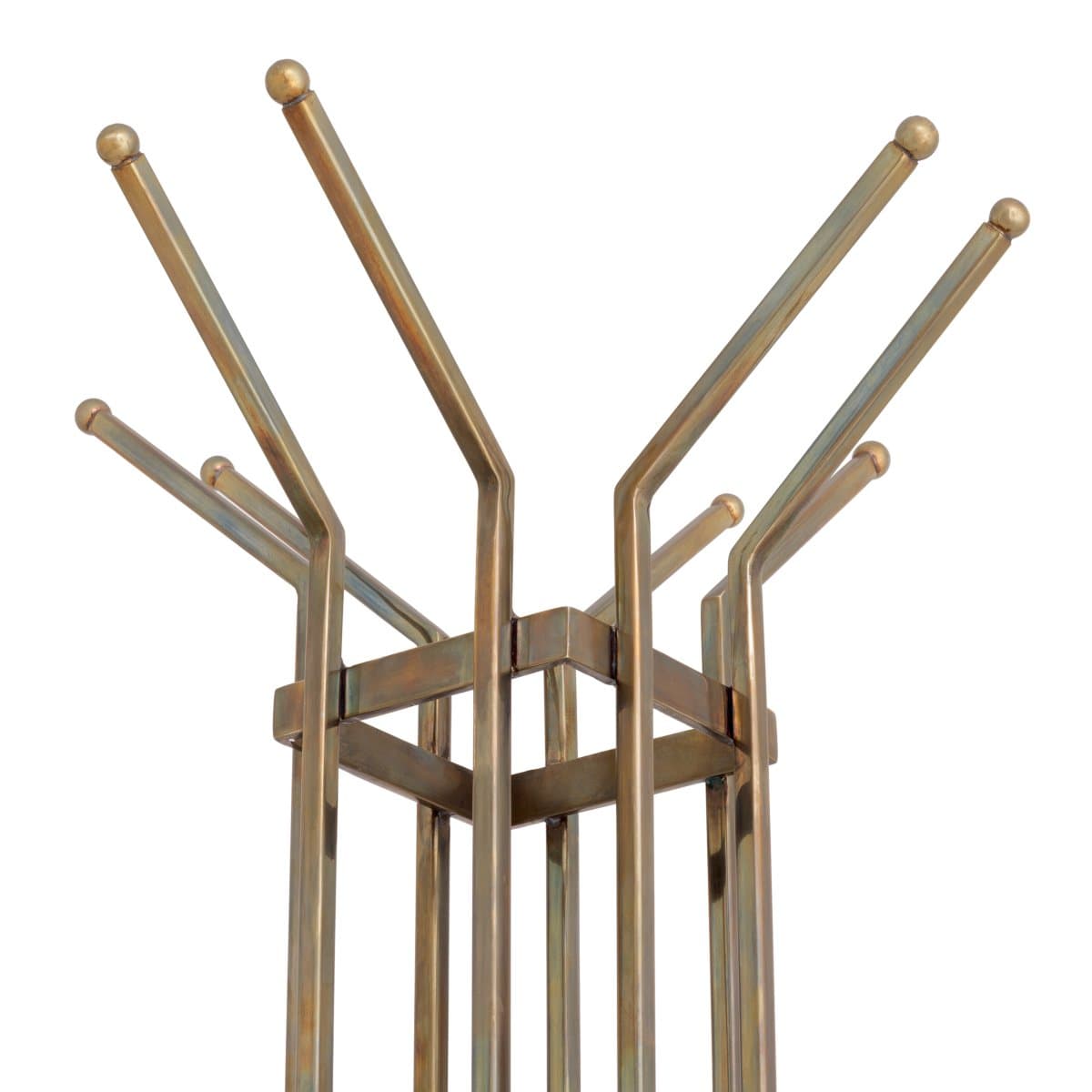 Coatrack Volterra thumbnail 2