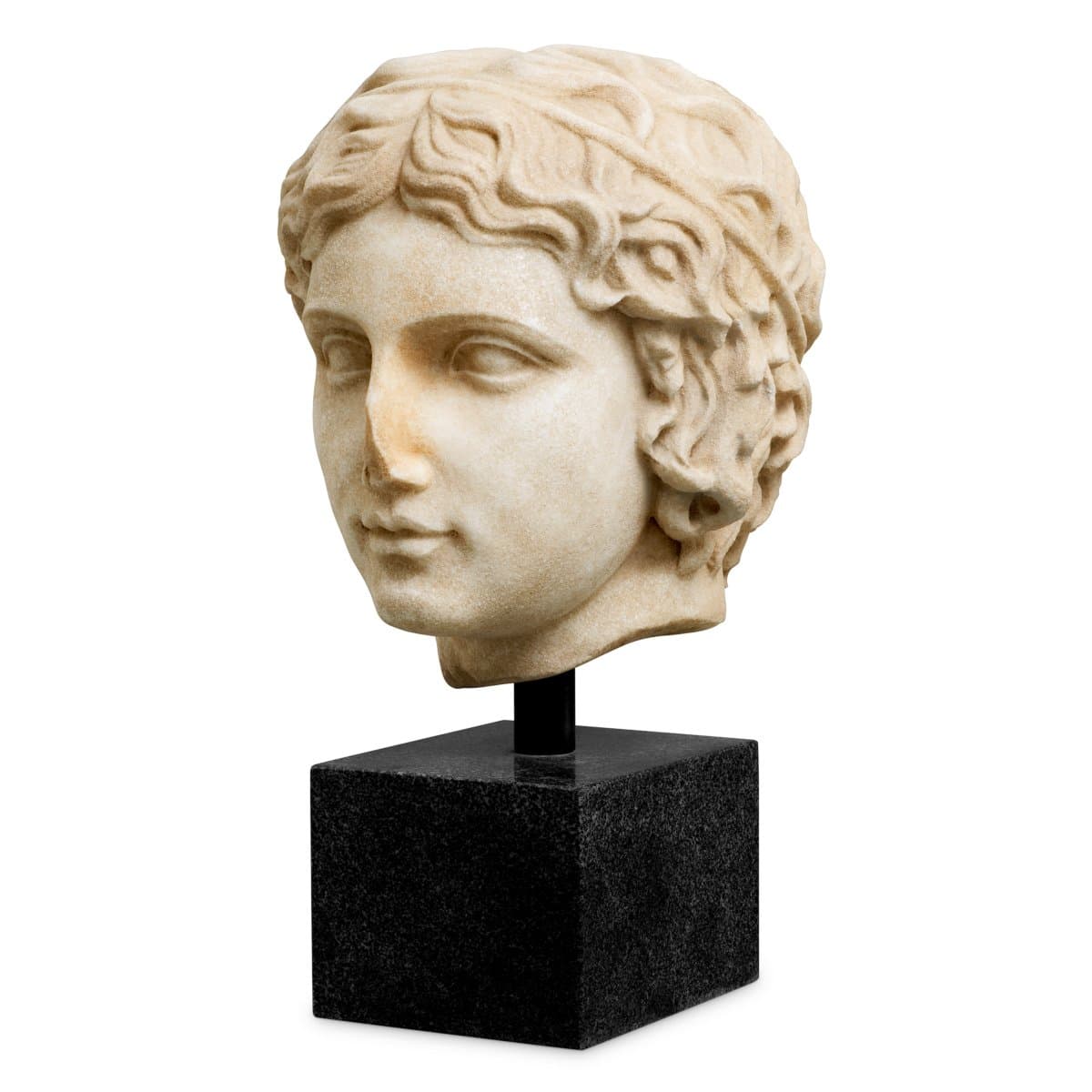 Bust of a youth — image 1